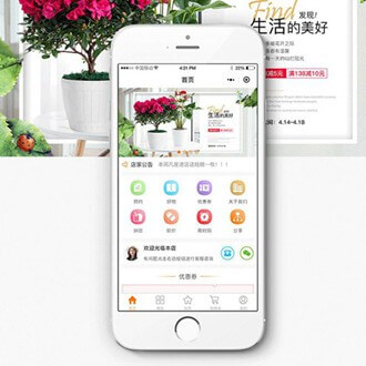 大渡口门店微商城小程序开发