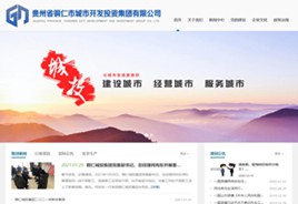 大渡口城市开发投资集团有限公司