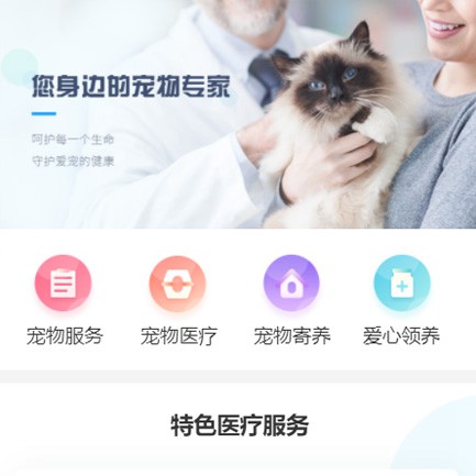 大渡口宠物店小程序开发